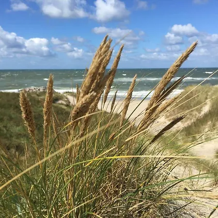 70030-ulfborg-laerkevej-9 *
